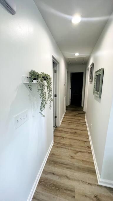 Modern Home Near Uptown Clt, Airport And More Charlotte Extérieur photo